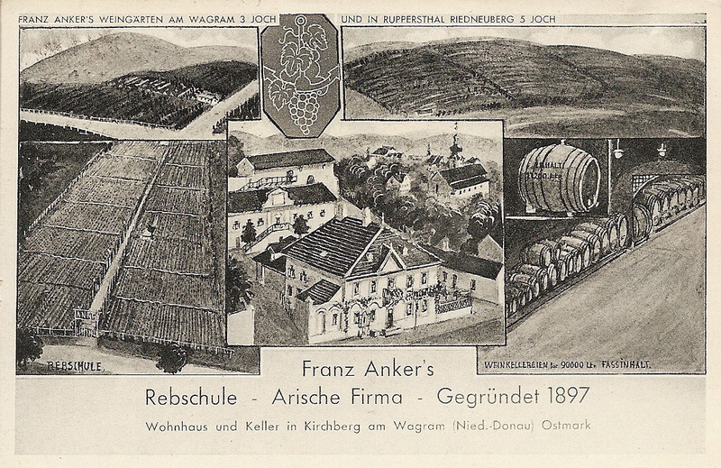 Weingut Anker